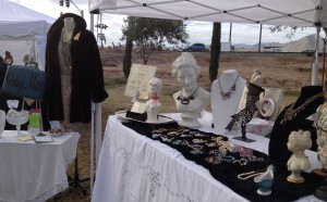 Art In the Olive Grove, Queen Creek Olive Mill, December 2013. There were tumbleweeds behind my booth. Very wild west feeling